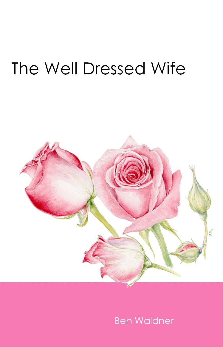 THE WELL DRESSED WIFE Ben Waldner - Click Image to Close